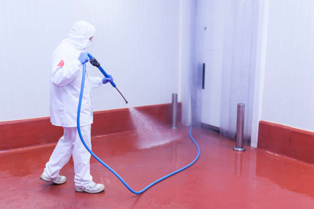 Trusted Greene, RI Pressure Washing Services Experts
